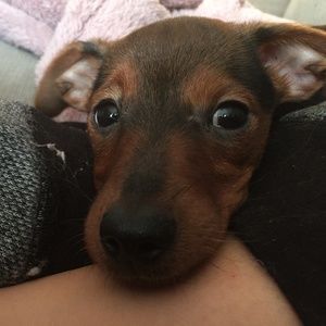 Meet your Posher, Alina